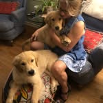 Fran Moss - @franalyse - Instagram