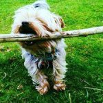 Fran Murray - @wizdiz - Instagram
