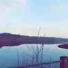 Fran Murray - @franmurray6 - TikTok