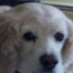 Fran Murray - @fran.murray.988 - Instagram