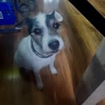 Fran Norton - @frances.norton173 - Instagram