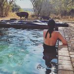 Frances Norton - @frannorton83 - Instagram