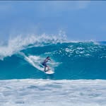 Frank Norton - @frank.w.norton - Instagram