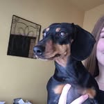 Franklin O’Connell - @frank.oconnelll - Instagram