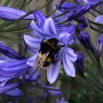 Fran Owen - @franowenphotography - Instagram