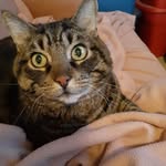 Fran Patterson - @franny_1957 - Instagram