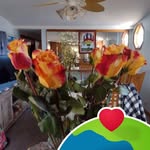 Frances Patterson - @fran_patterson704 - Instagram