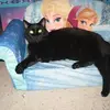 franpatterson737 - @franpatterson737 - TikTok