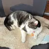 franperry72 - @franperry72 - TikTok