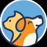 Prestige Pet Style Ambassador - @fran_prestige - Instagram