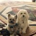 Fran Prickett - Facebook