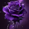 frances_lapriore - @frances_lapriore - TikTok
