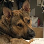 Franny Puckett - @frannyfroufrou - Instagram