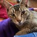 Fran Pugh - Facebook