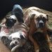 Fran Pugh - Facebook