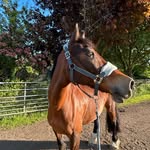 Fran Purcell - @xfran.18 - Instagram