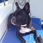 Frank Rainey - @frank_thefrenchton - Instagram