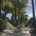Fran Randall - @franrandall5 - Instagram