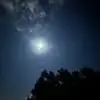 Frank Randolph - @frank.randolph04 - TikTok