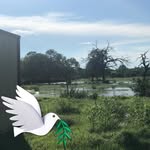 Frank Randolph - @frankrandolph49 - Instagram