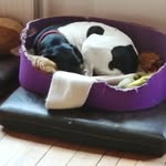 Frank Rasmussen - @frank.rasmussen.796 - Instagram