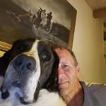 Frank rasmussen - @frankrasmussen61 - Instagram