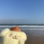 ray! - @_franray - Instagram