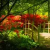 Fran Raymond Carvell - @fran.raymond.carv - TikTok