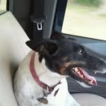 Frank Raymond - @frank.raymond.946 - Instagram