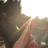 Fran Read - @f.rancescax - TikTok
