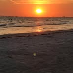 Fran Reck - Facebook