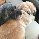 Frances Reid-Campbell - @franreidcampbell - Instagram