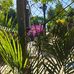 Fran Reyes - Facebook