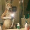 Fran...reyes - @fran....reyes - TikTok