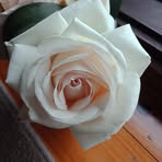 Fran Rice - Facebook