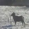 Frank Richardson - @frank.richardson19 - TikTok