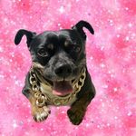 Frank Lynn Richey - @hotboiifrank - Instagram
