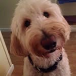 Fran Richmond - @fmrichmond - Instagram