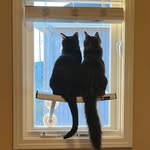Fran Richmond - @9527franrich - Instagram