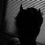 the dark people 🌑 - @frank._.riddle - Instagram
