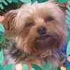 Fran Riley - @fran.riley1 - TikTok