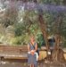 Fran Rizzo - Facebook