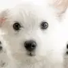 Fran Ro - @franro3 - TikTok