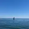 Fran Ro - @fran.ro44 - TikTok