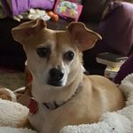 Fran Roach - @daisydooi - Instagram
