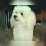 Robustelli Francesco - @francy.robustelli - Instagram