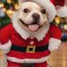 Fran Rodgers - Facebook