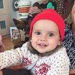 Fran Rodgers - @frodgers1 - Instagram