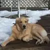 Fran Rogers - @fran.rogers2 - TikTok
