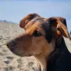 Frank Romanelli - @frank.romanelli8 - TikTok